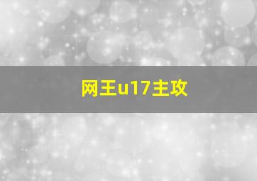 网王u17主攻