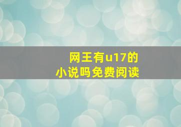 网王有u17的小说吗免费阅读