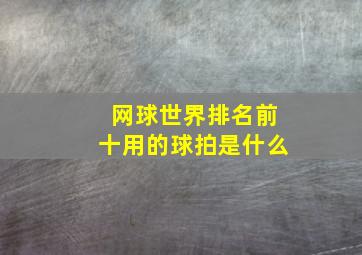 网球世界排名前十用的球拍是什么