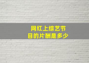 网红上综艺节目的片酬是多少