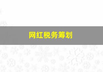 网红税务筹划