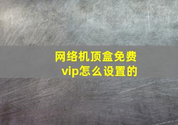 网络机顶盒免费vip怎么设置的