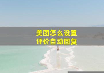 美团怎么设置评价自动回复