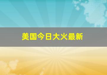 美国今日大火最新