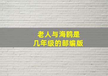 老人与海鸥是几年级的部编版