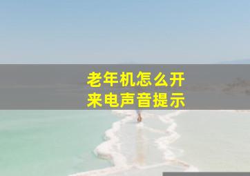 老年机怎么开来电声音提示