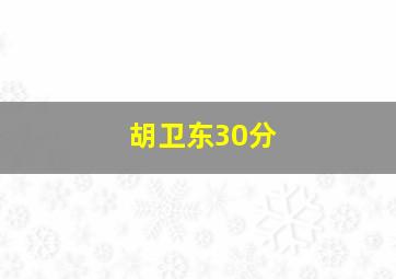 胡卫东30分