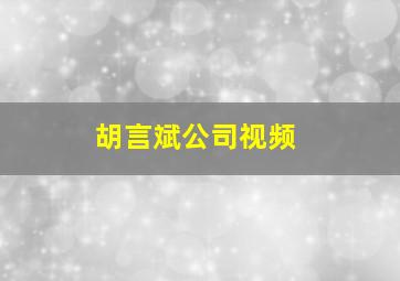 胡言斌公司视频