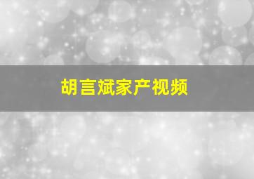 胡言斌家产视频