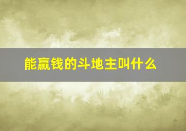 能赢钱的斗地主叫什么