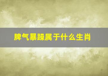 脾气暴躁属于什么生肖