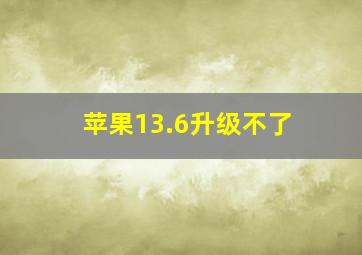 苹果13.6升级不了