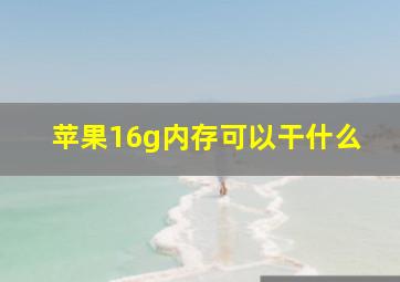 苹果16g内存可以干什么