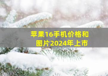 苹果16手机价格和图片2024年上市