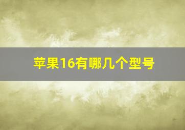 苹果16有哪几个型号