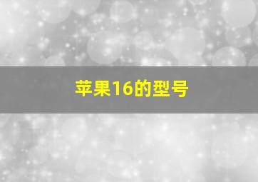 苹果16的型号