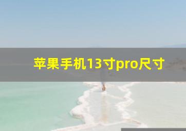 苹果手机13寸pro尺寸