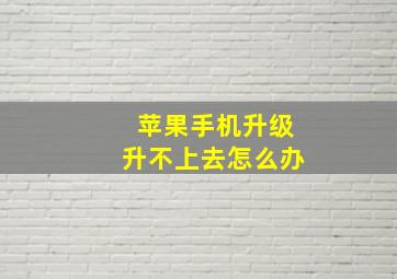 苹果手机升级升不上去怎么办