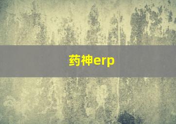 药神erp