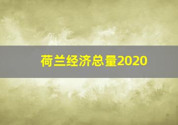 荷兰经济总量2020