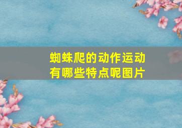 蜘蛛爬的动作运动有哪些特点呢图片