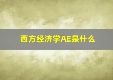 西方经济学AE是什么