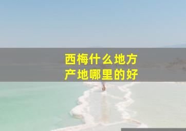 西梅什么地方产地哪里的好