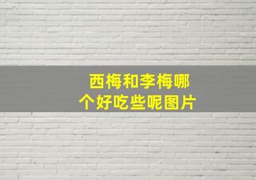 西梅和李梅哪个好吃些呢图片