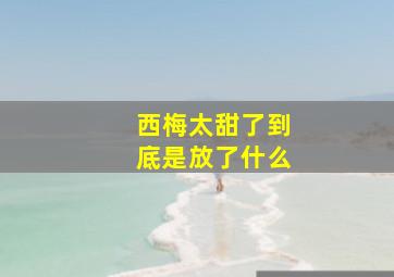 西梅太甜了到底是放了什么