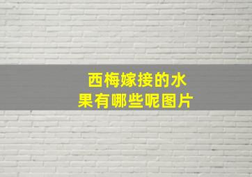 西梅嫁接的水果有哪些呢图片