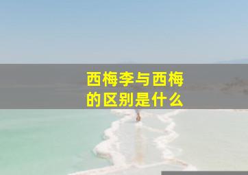 西梅李与西梅的区别是什么