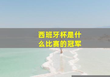 西班牙杯是什么比赛的冠军