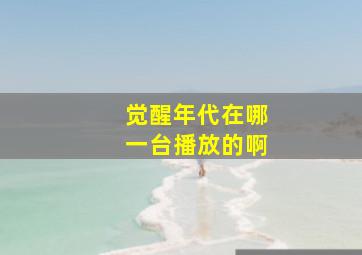 觉醒年代在哪一台播放的啊