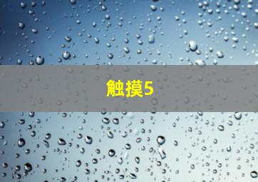 触摸5