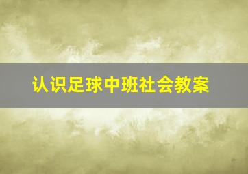 认识足球中班社会教案