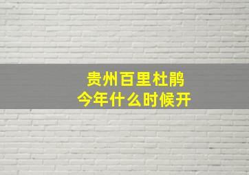 贵州百里杜鹃今年什么时候开