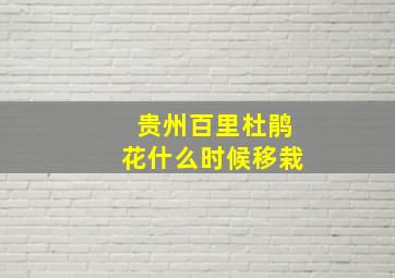 贵州百里杜鹃花什么时候移栽