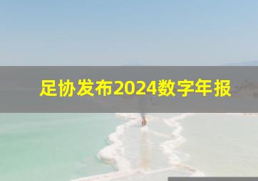 足协发布2024数字年报