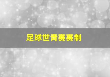 足球世青赛赛制