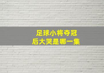 足球小将夺冠后大哭是哪一集