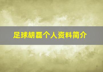 足球胡磊个人资料简介