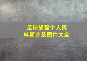 足球胡磊个人资料简介及图片大全