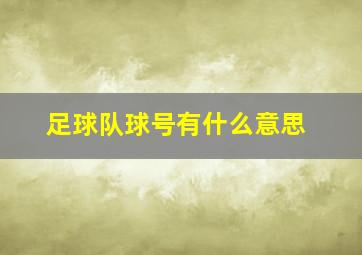 足球队球号有什么意思