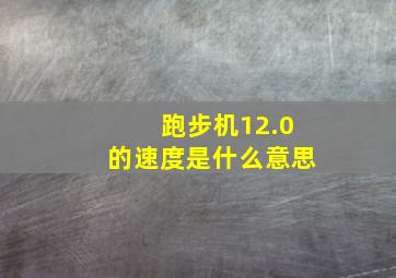 跑步机12.0的速度是什么意思