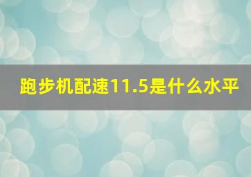 跑步机配速11.5是什么水平