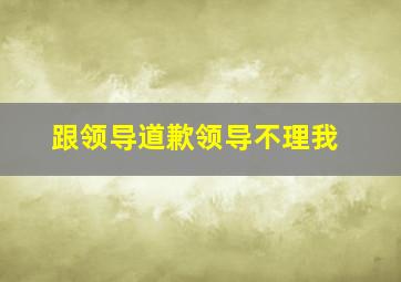 跟领导道歉领导不理我