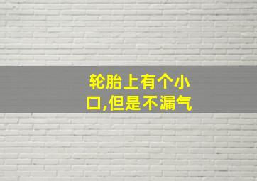 轮胎上有个小口,但是不漏气