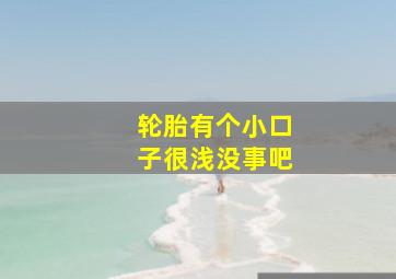 轮胎有个小口子很浅没事吧