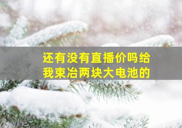 还有没有直播价吗给我束冶两块大电池的