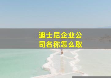 迪士尼企业公司名称怎么取